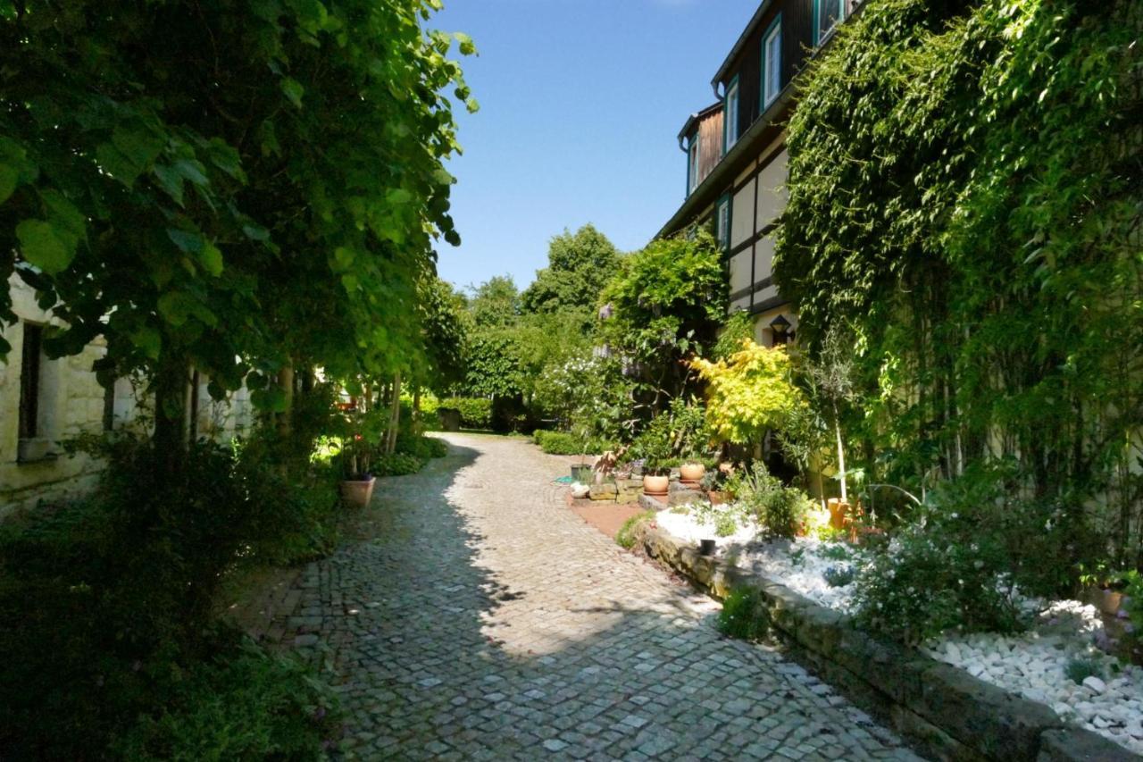 No.5 - Ferienwohnung Schkade Kleingiesshubel Экстерьер фото