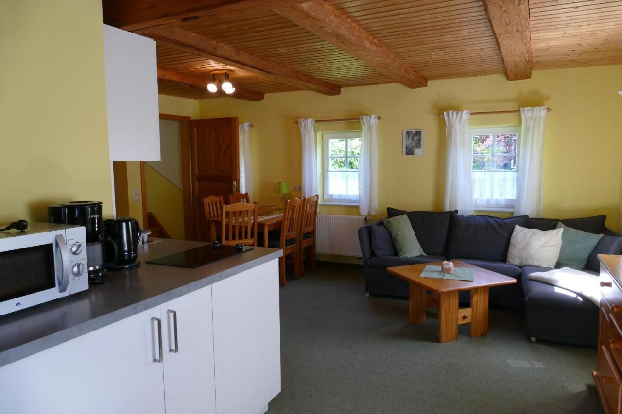 No.5 - Ferienwohnung Schkade Kleingiesshubel Экстерьер фото