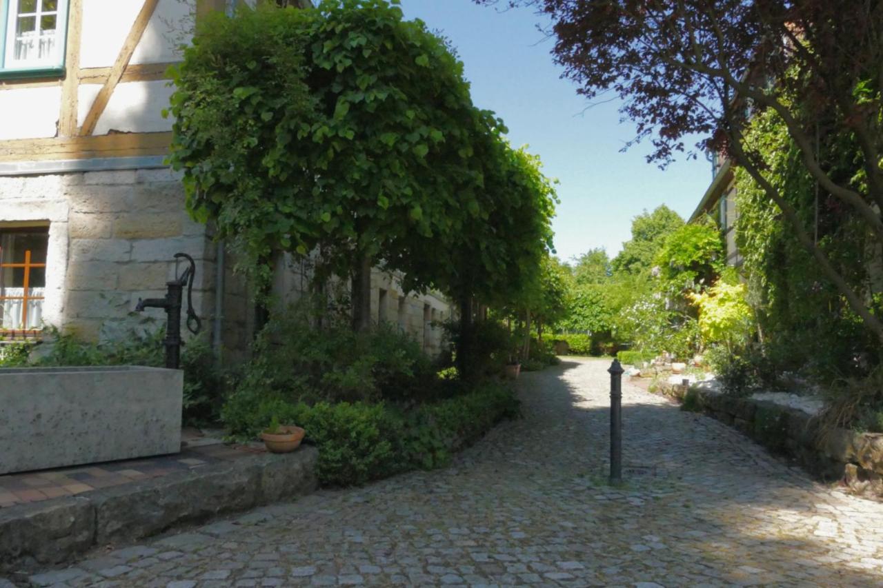 No.5 - Ferienwohnung Schkade Kleingiesshubel Экстерьер фото