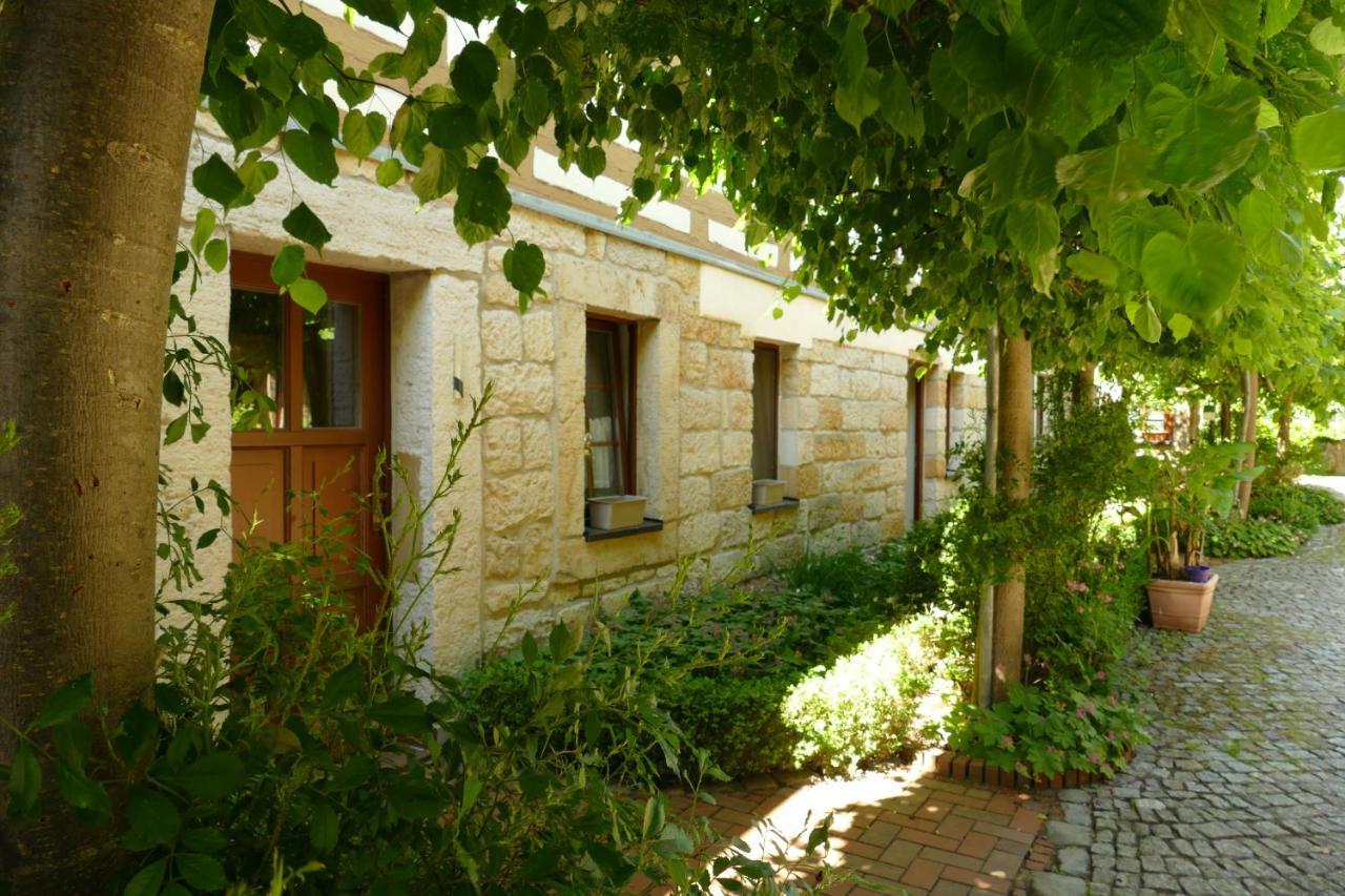 No.5 - Ferienwohnung Schkade Kleingiesshubel Экстерьер фото